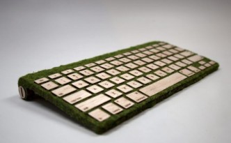 木とコケのキーボード
