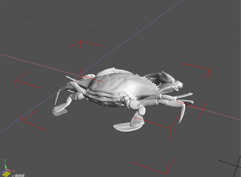 スミソニアン博物館の３Dデータ　blue crab