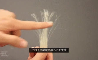 出典：3D Printed Hair (UIST 2015)